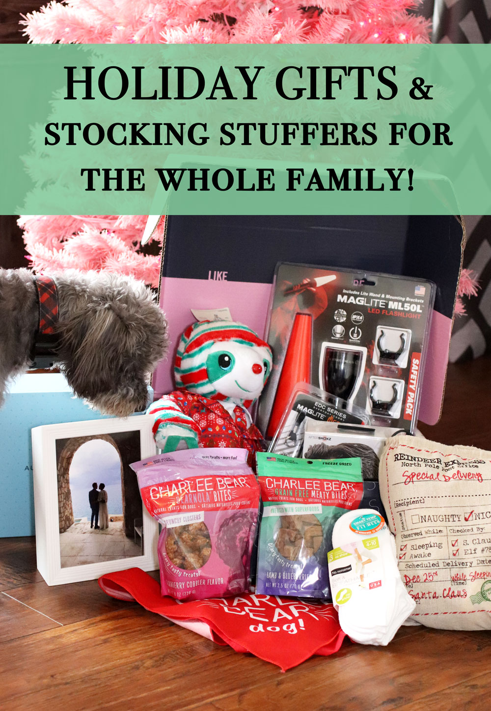 Holiday Gifts & Stocking Stuffer Ideas for the Whole Family!