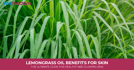Lemongrass Oil Benefits for Skin: The Ultimate Guide for Healthy And Glowing Skin