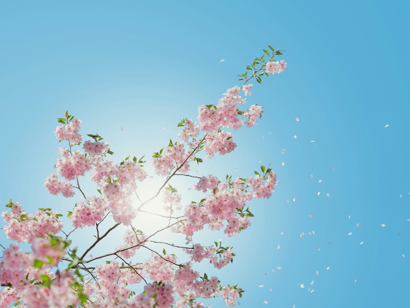 Soak In The Summer Sun Safely With These 4 Simple Strategies For Outdoor Comfort
