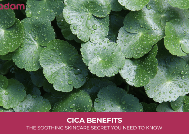 Cica Benefits: The Soothing Skincare Secret You Need to Know