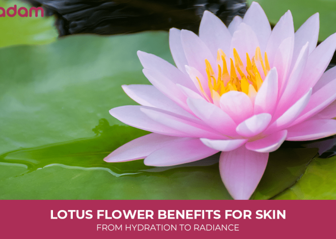 Lotus Flower Benefits For Skin: From Hydration To Radiance