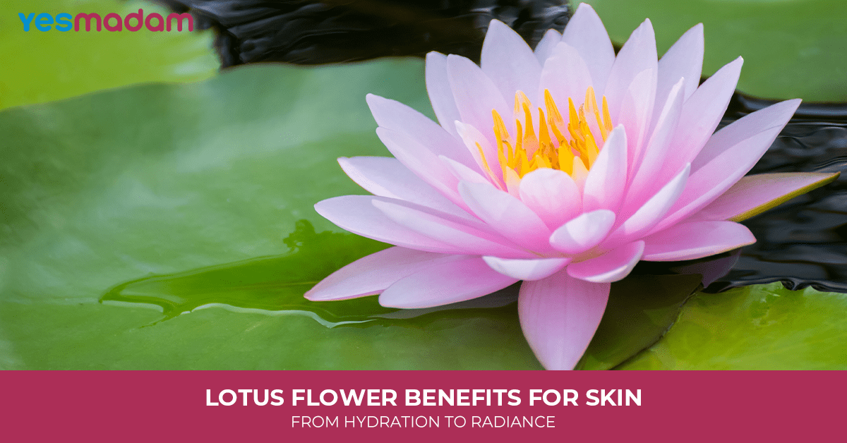 Lotus Flower Benefits For Skin: From Hydration To Radiance