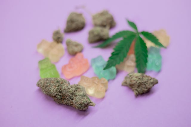 Medical Cannabis’s Recognition In The UK’s Health And Wellness Industry